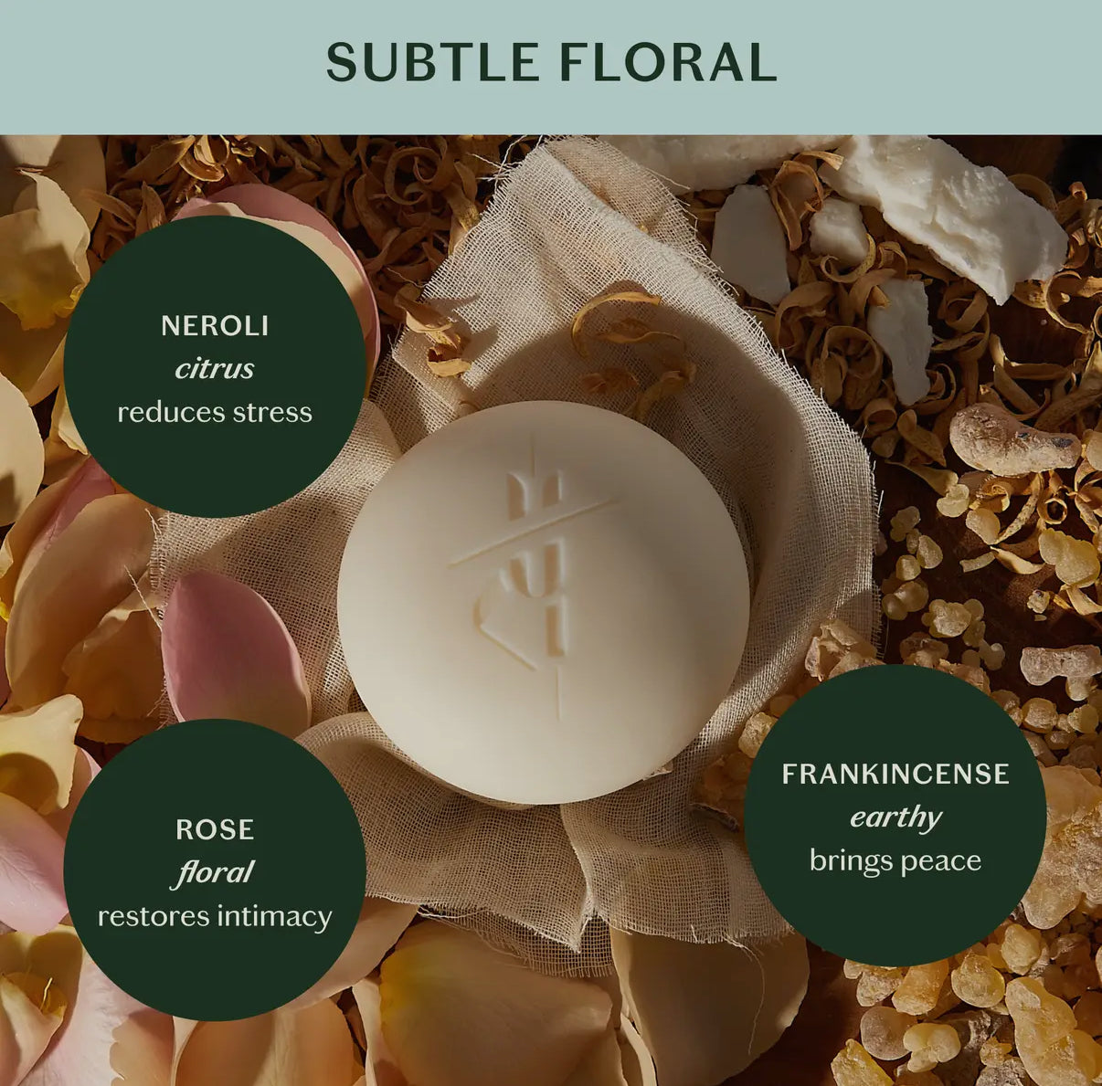 Kate McLeod | Daily Stone | Deep Moisturizing Lotion Bar