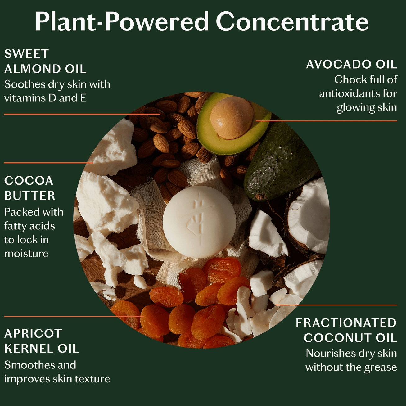 Kate McLeod | Grounding Stone (Refill) | Deep Moisturizing Lotion Bar - Aesthetics By Kell