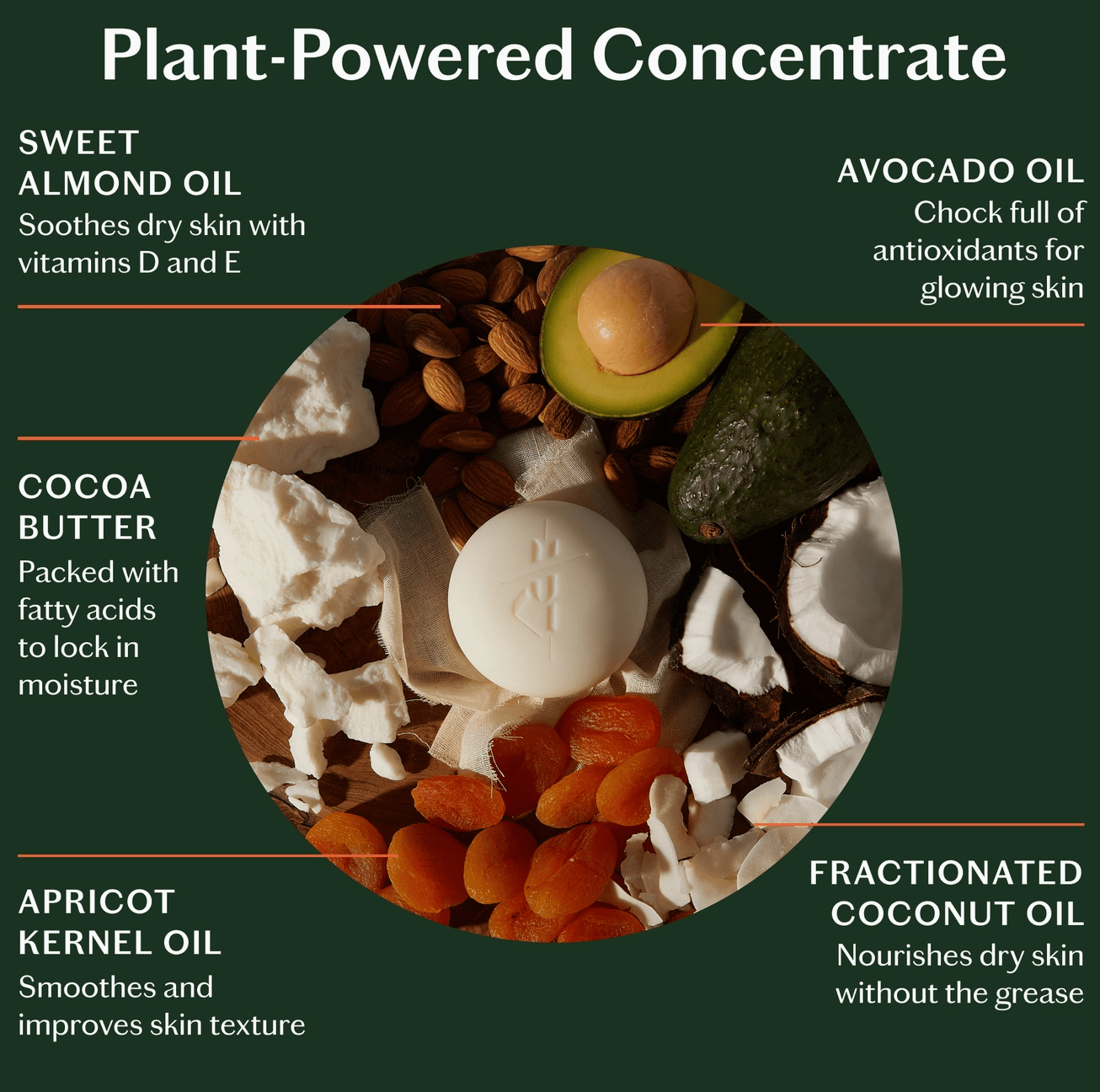 Kate McLeod | Sleep Stone (Refill) | Deep Moisturizing Lotion Bar - Aesthetics By Kell