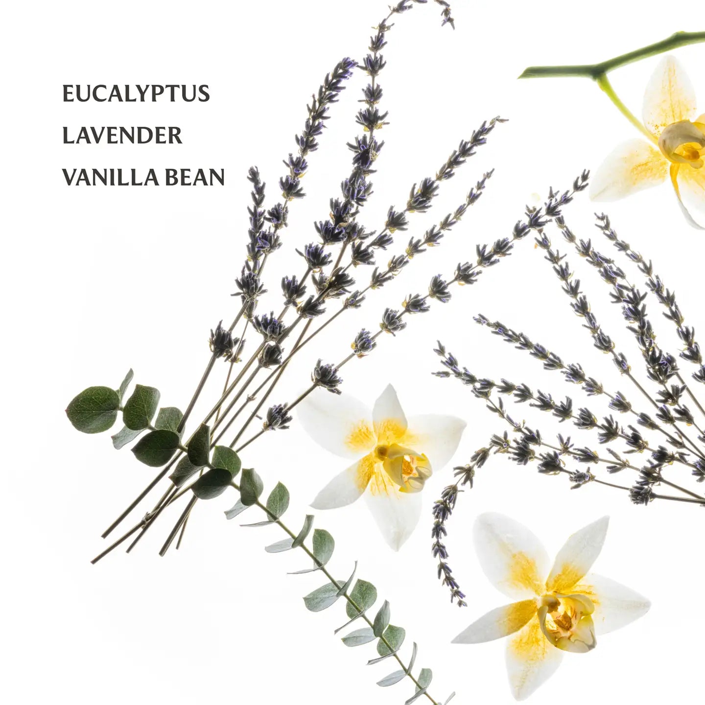 Touchland Power Mist: Pure Lavender