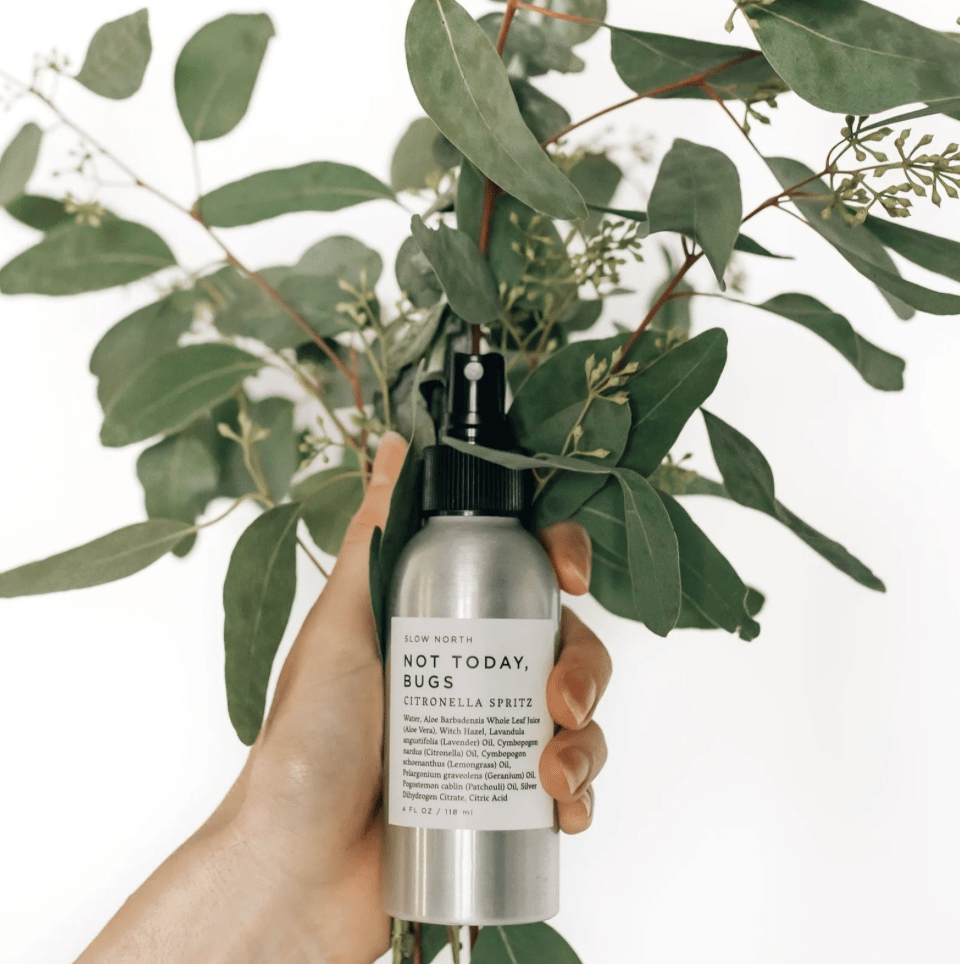 Slow North Not Today, Bugs - Bug Spray - Aesthetics By Kell