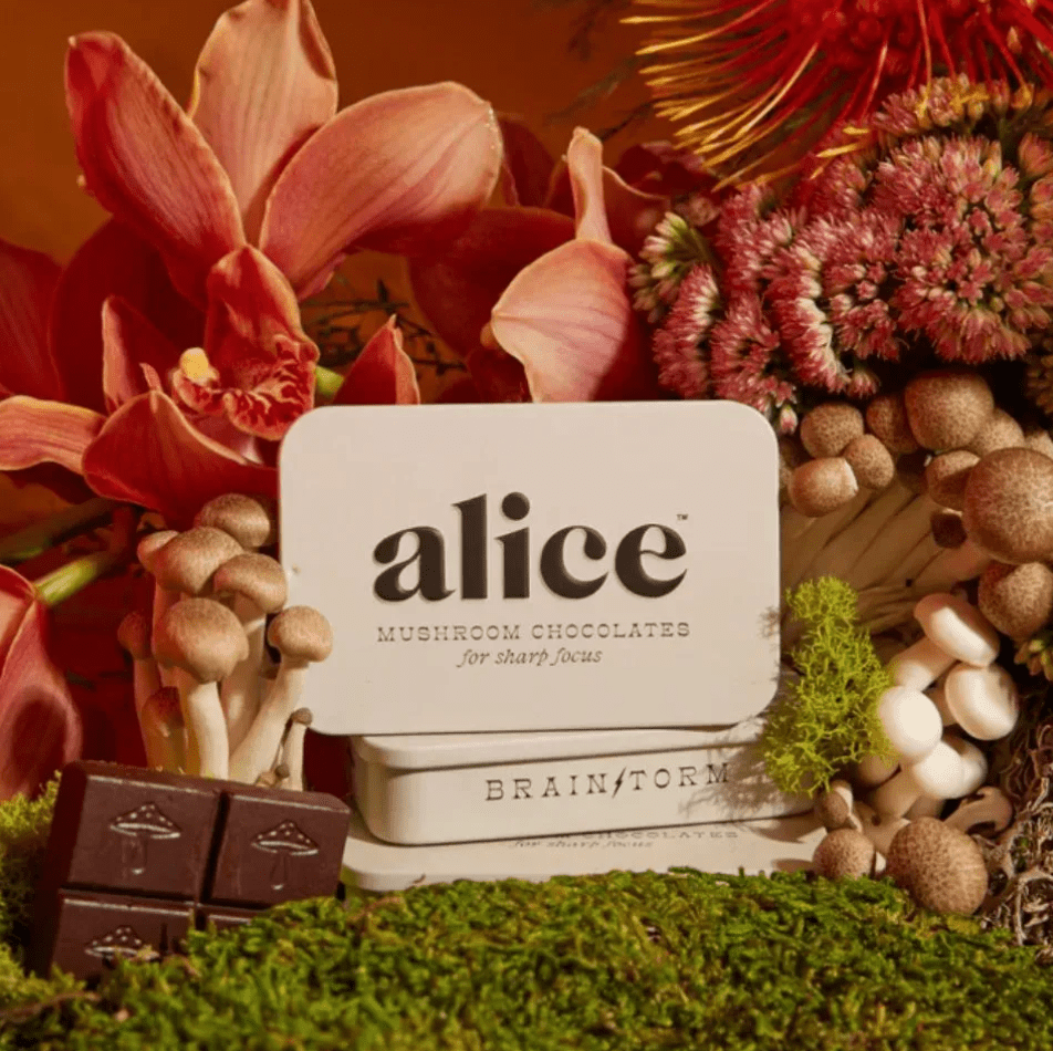 Alice Mushroom Chocolate - Brainstorm - Aesthetics By Kell