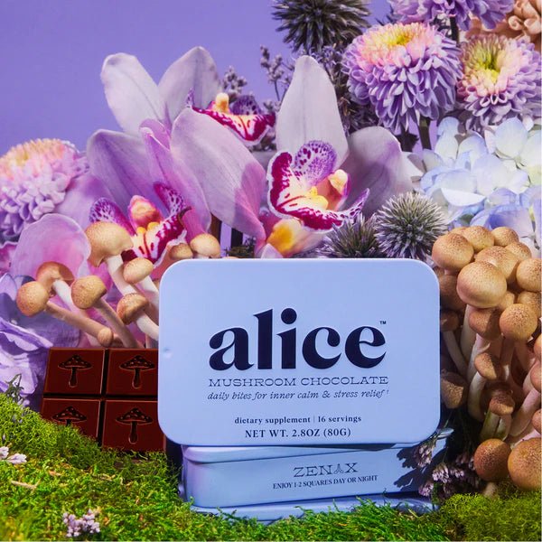 Alice Mushroom Chocolate - Zen X singles - Aesthetics By Kell