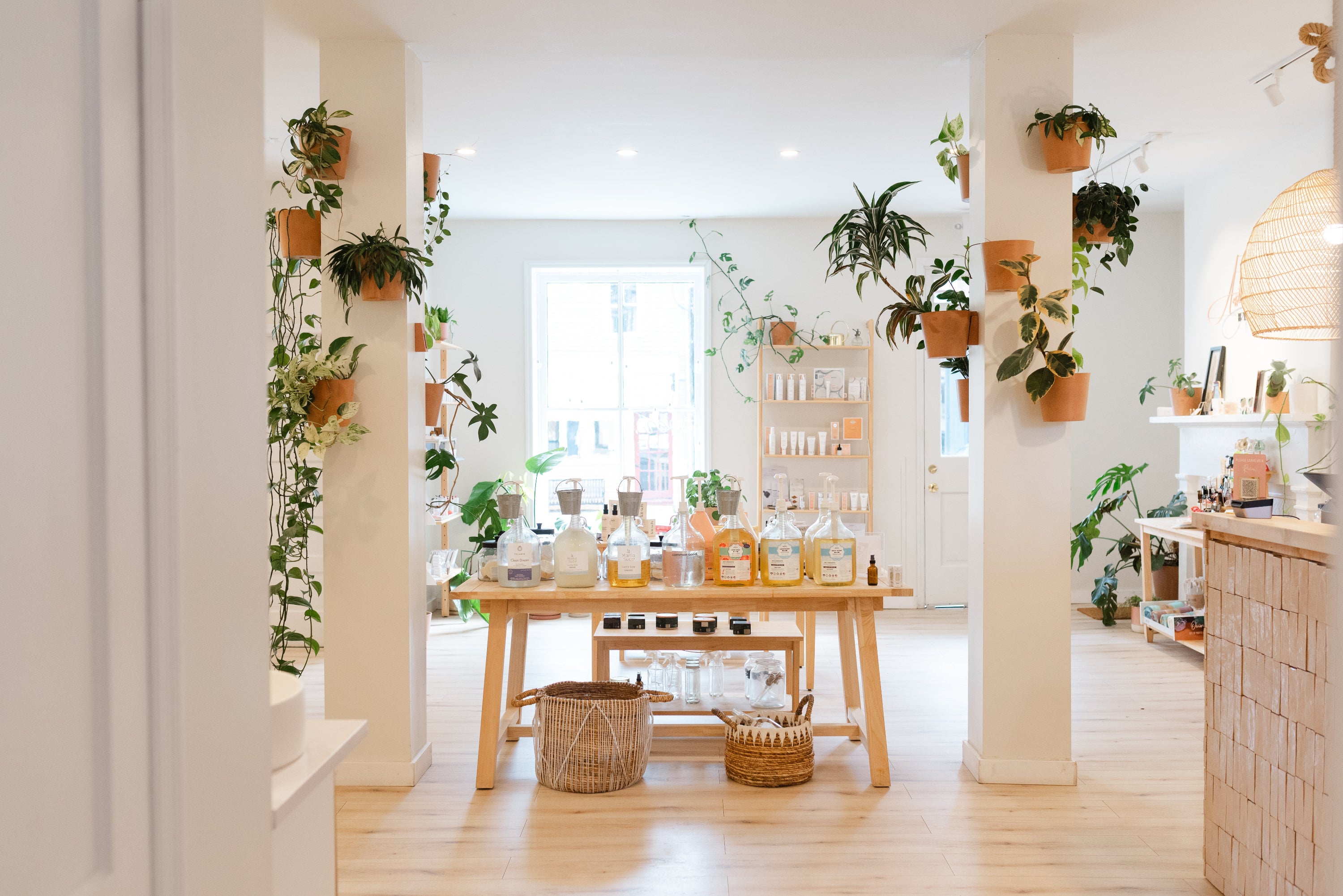 Modern interior design with plants, wooden furniture, and a bright light.