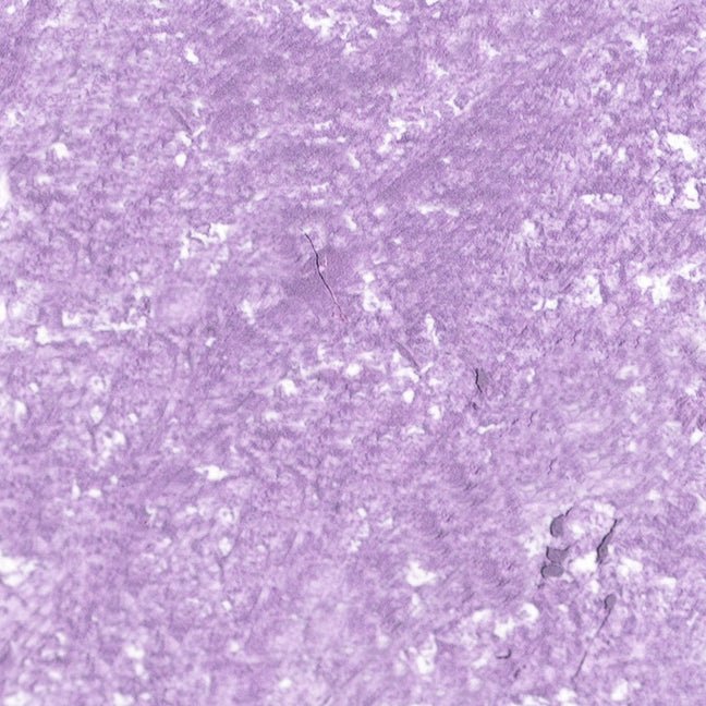 Ere Perez Jojoba Eye Pencil - Aesthetics By Kell