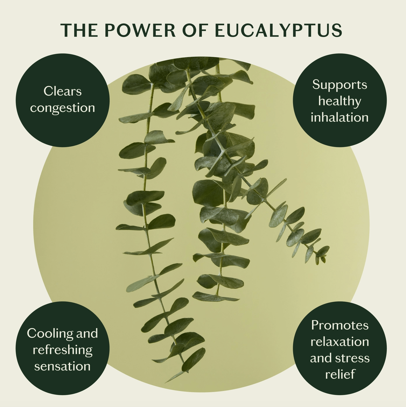 Kate McLeod | Breathe Stone | Soothing Chest Rub - Aesthetics By Kell