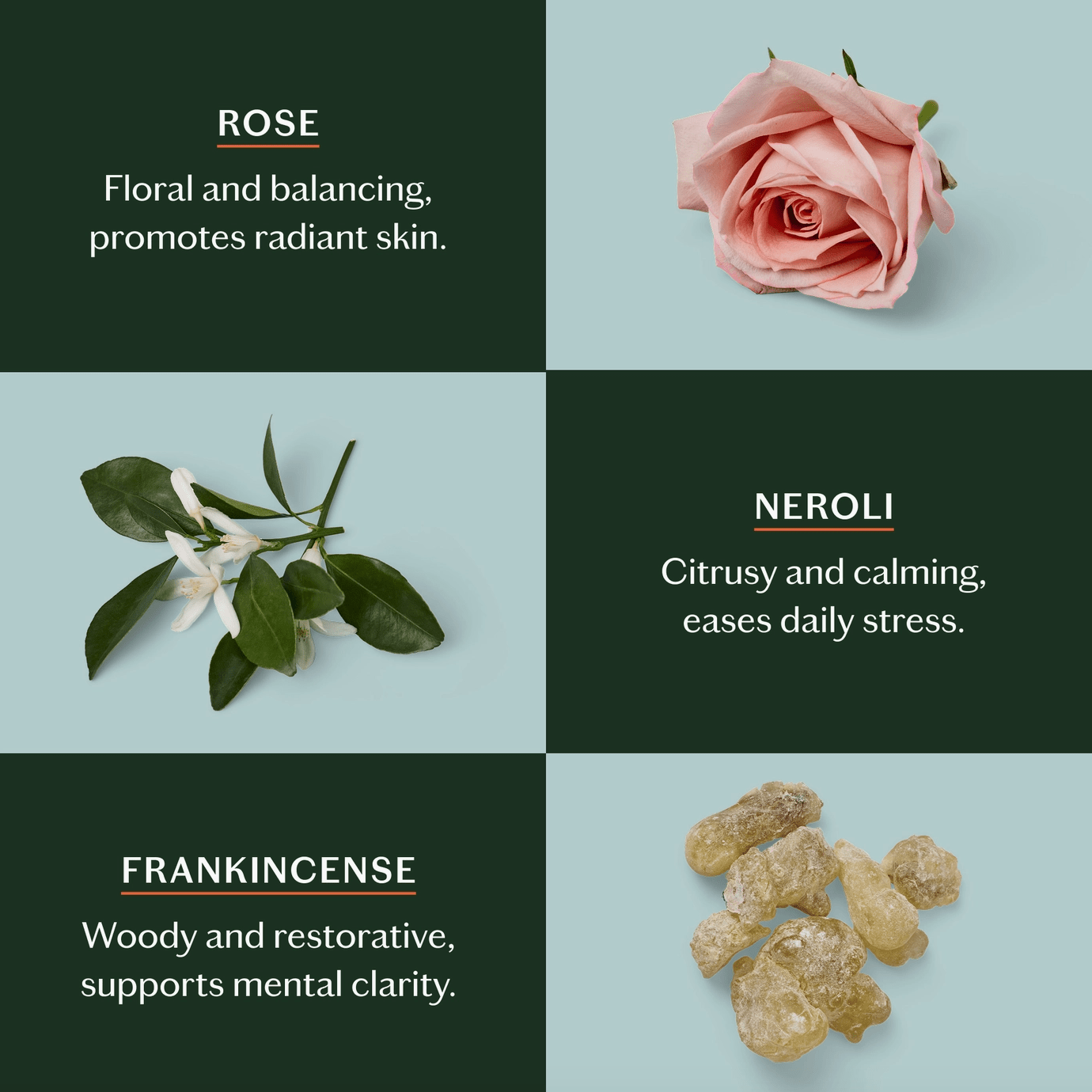 Kate McLeod Daily Stone | Deep Moisturizing Lotion Bar Starter Kit - Aesthetics By Kell