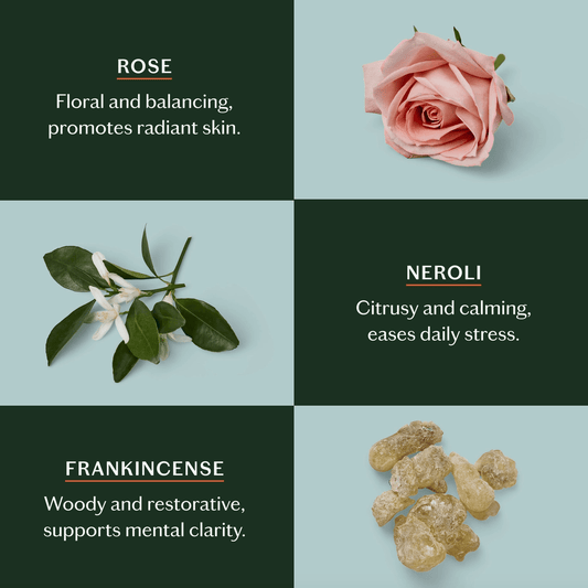 Kate McLeod Daily Stone | Deep Moisturizing Lotion Bar Starter Kit - Aesthetics By Kell