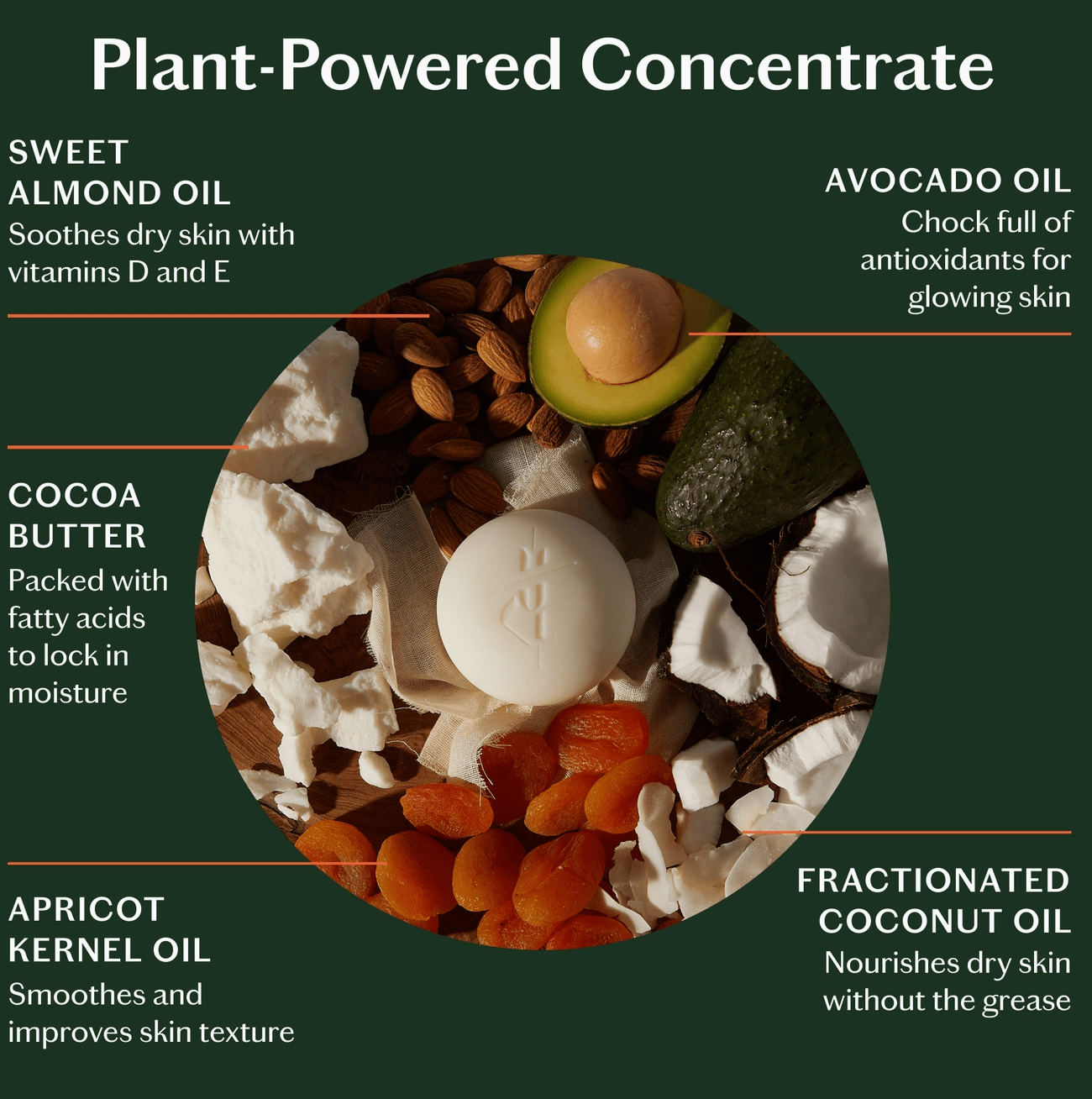 Kate McLeod | Daily Stone (Refill) | Deep Moisturizing Lotion Bar - Aesthetics By Kell