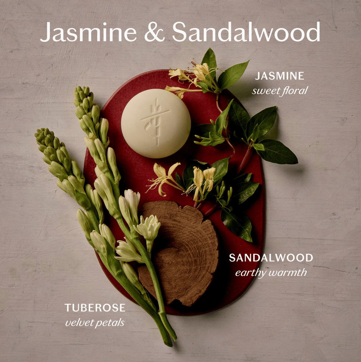 Kate McLeod Jasmine & Sandalwood | Deep Moisturizing Lotion Bar - Aesthetics By Kell