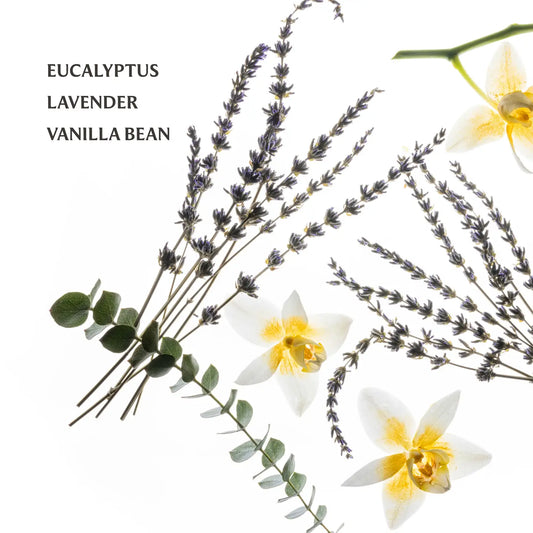 Touchland Power Mist: Pure Lavender