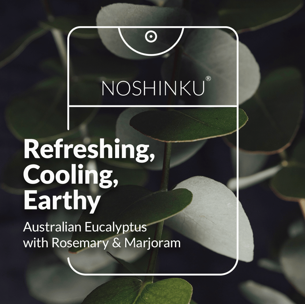 Noshinku Refillable Eucalyptus Moisturizing Pocket Hand Sanitizer - Aesthetics By Kell