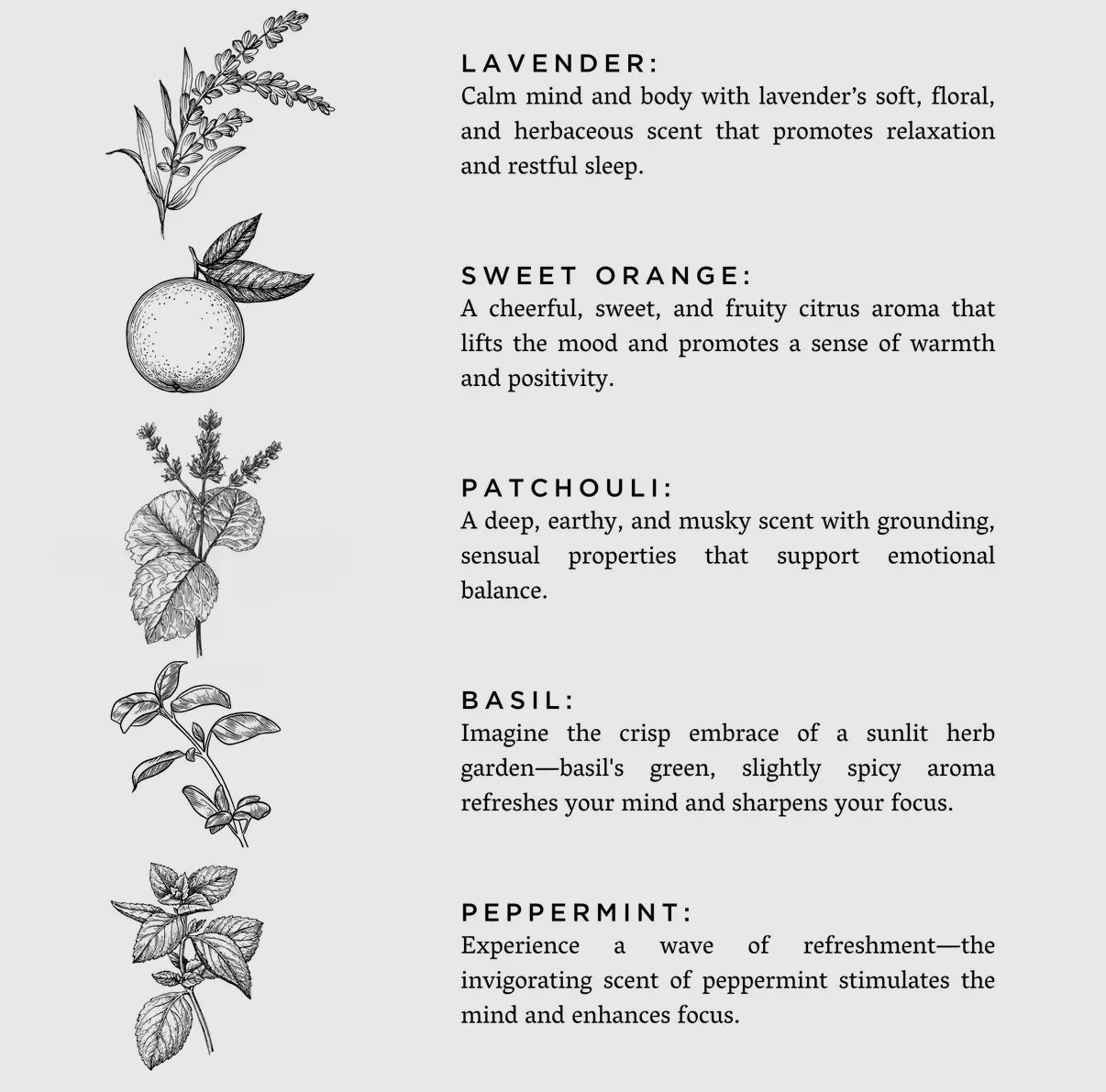 Slow North | Revive - Spa Collection Candle - Aesthetics By Kell