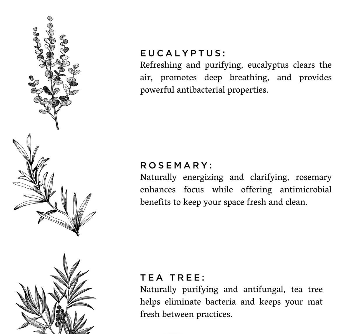 Slow North Yoga Mat Eucalyptus & Rosemary Refresh Spray - Aesthetics By Kell