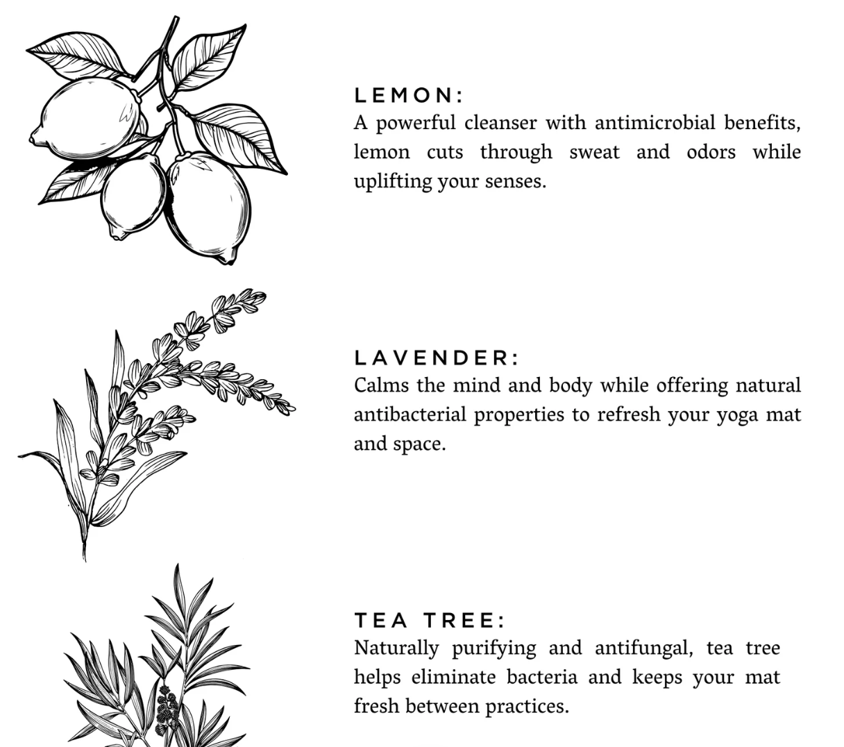 Slow North Yoga Mat Lavender + Lemon Refresh Spray - Aesthetics By Kell