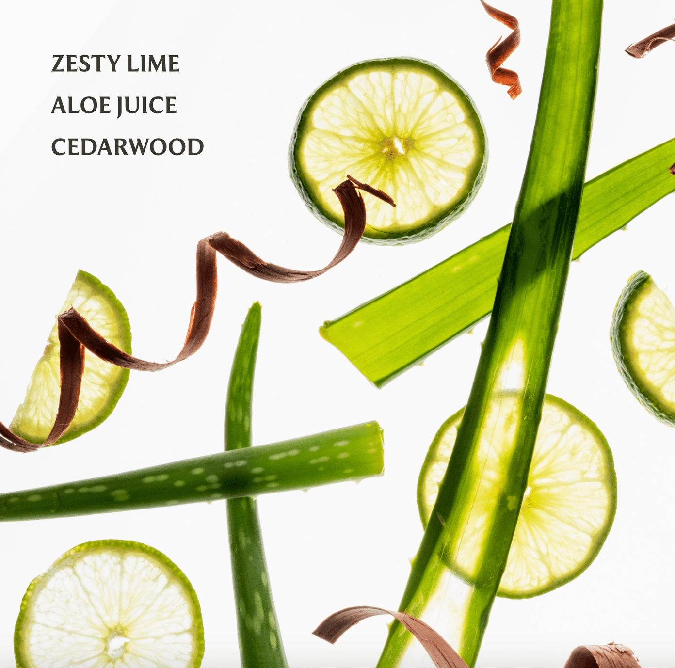 Touchland Aloe You Power Mist Hydrating Hand Sanitizer - Aesthetics By Kell