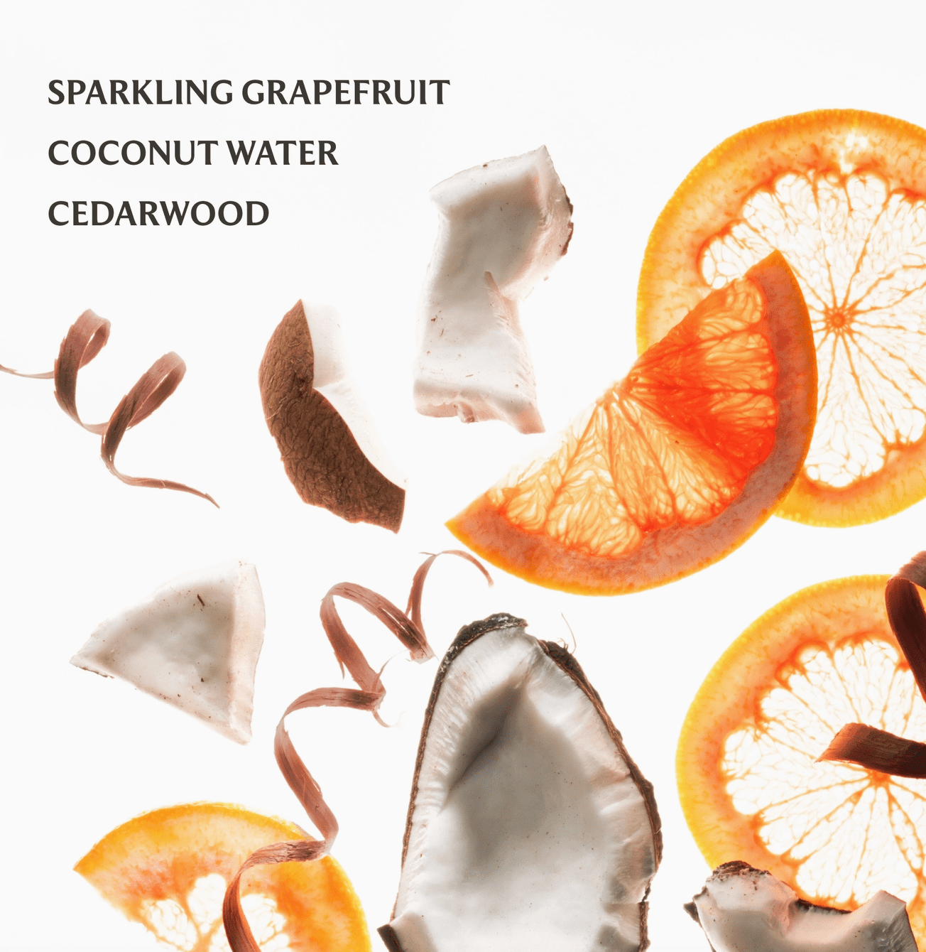 Touchland Power Mist: Beach Coco - Aesthetics By Kell