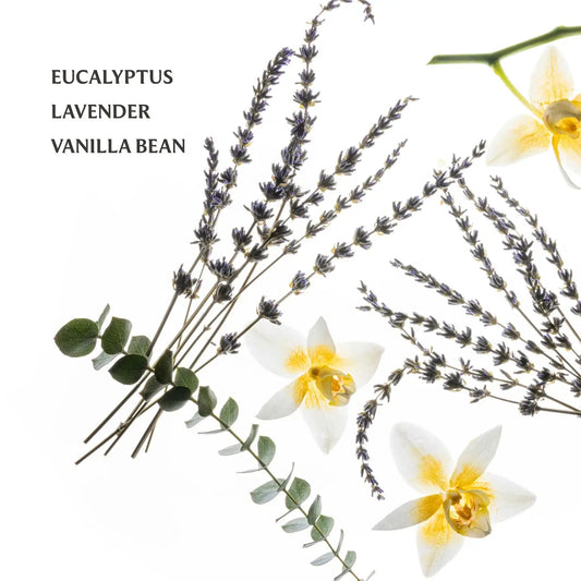 Touchland Power Mist: Pure Lavender - Aesthetics By Kell